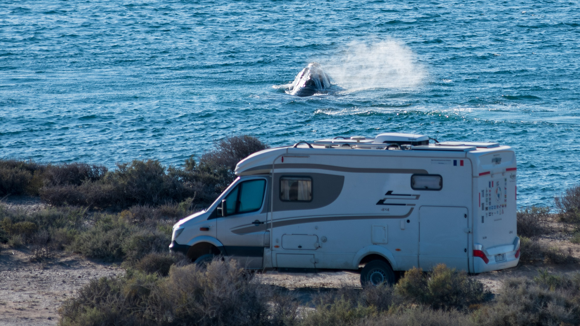 Bivouac Peninsule de Valdes